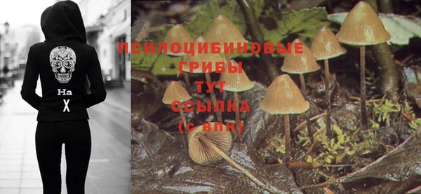прущий лед Беломорск
