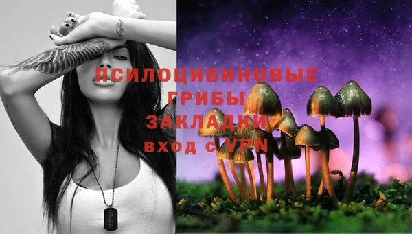 a pvp Белокуриха